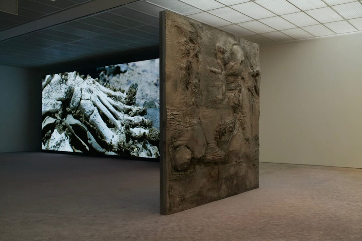 Pierre Huyghe basilea