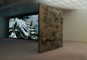 Pierre Huyghe basilea