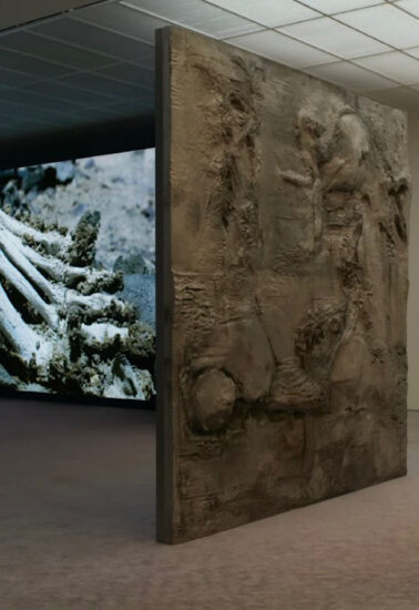 Pierre Huyghe basilea