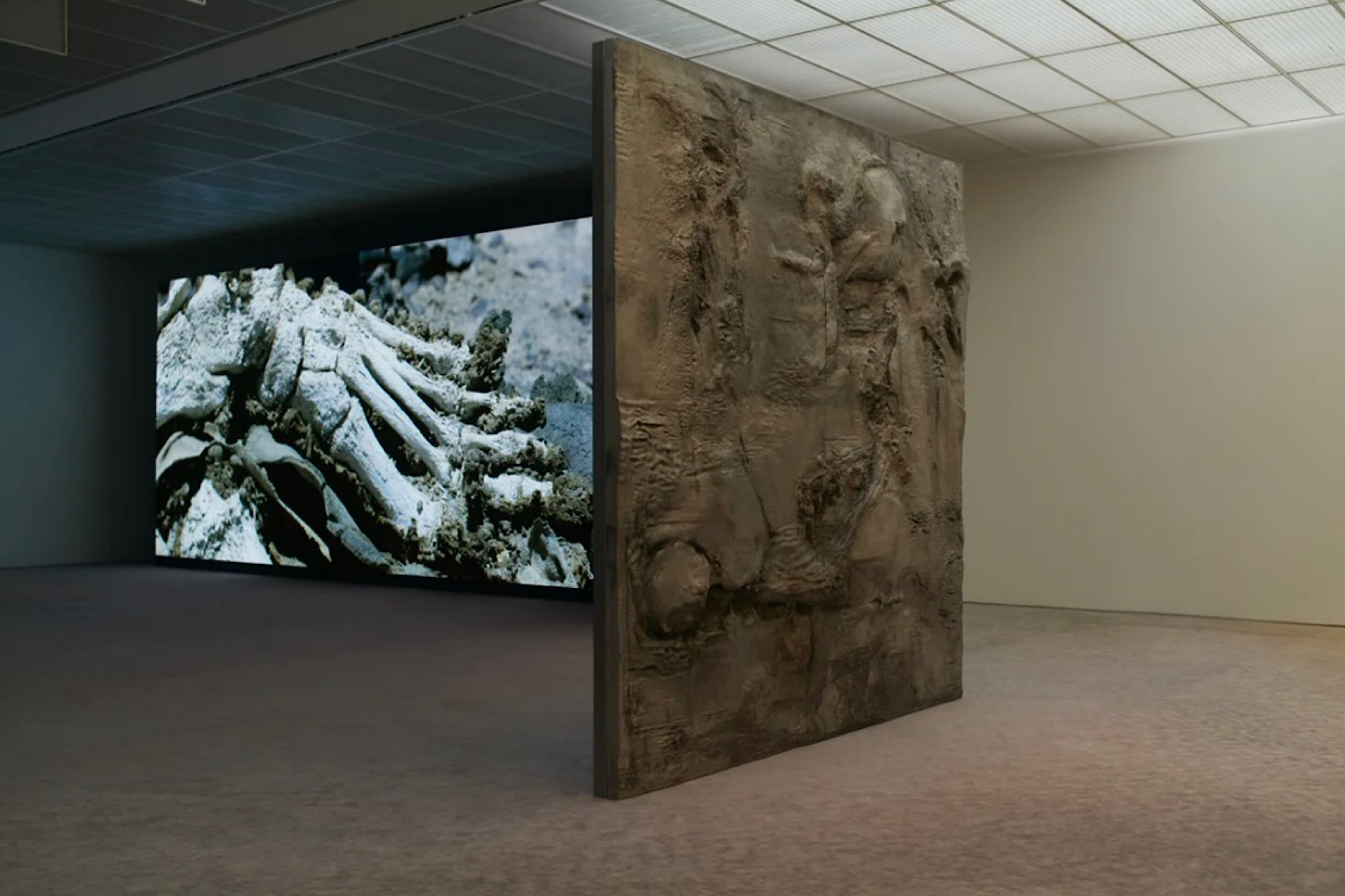 Pierre Huyghe basilea